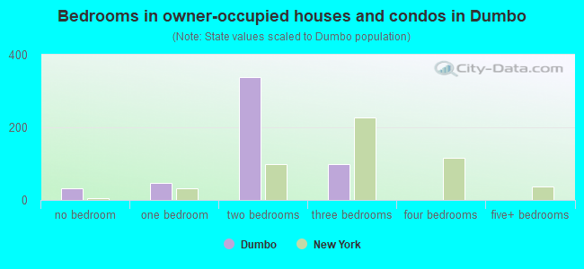 Bedrooms in owner-occupied houses and condos in Dumbo