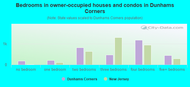 Bedrooms in owner-occupied houses and condos in Dunhams Corners