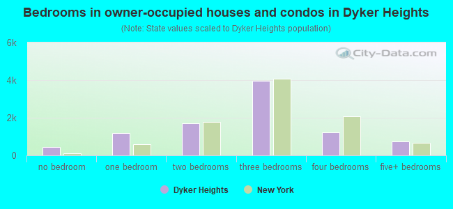 Bedrooms in owner-occupied houses and condos in Dyker Heights