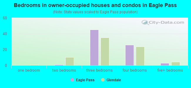 Bedrooms in owner-occupied houses and condos in Eagle Pass