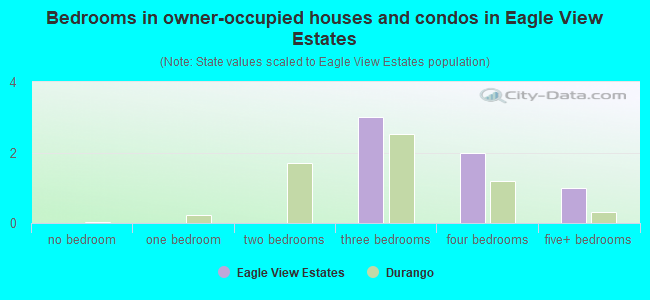 Bedrooms in owner-occupied houses and condos in Eagle View Estates