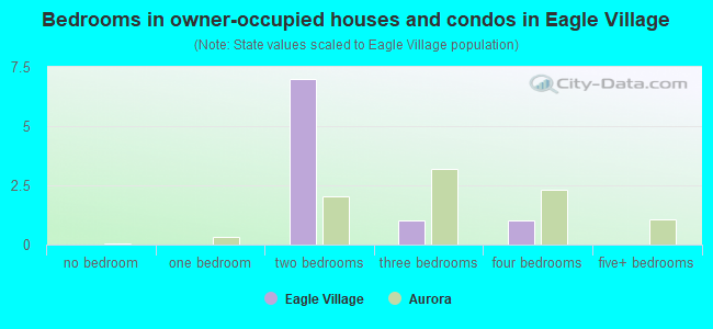 Bedrooms in owner-occupied houses and condos in Eagle Village