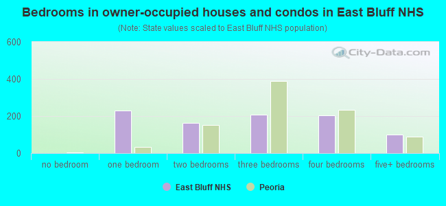 Bedrooms in owner-occupied houses and condos in East Bluff NHS