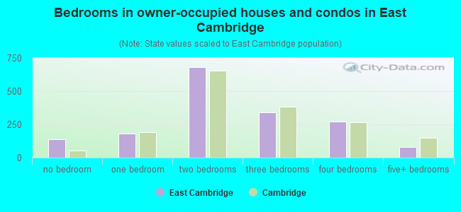 Bedrooms in owner-occupied houses and condos in East Cambridge