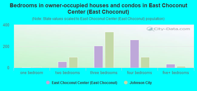 Bedrooms in owner-occupied houses and condos in East Choconut Center (East Choconut)