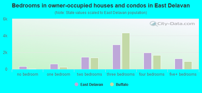 Bedrooms in owner-occupied houses and condos in East Delavan