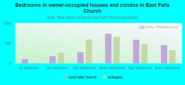 Bedrooms in owner-occupied houses and condos in East Falls Church