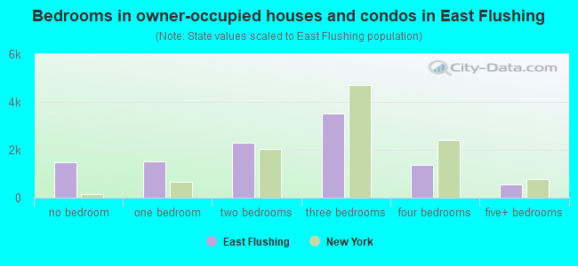 Bedrooms in owner-occupied houses and condos in East Flushing