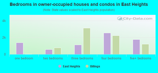 Bedrooms in owner-occupied houses and condos in East Heights