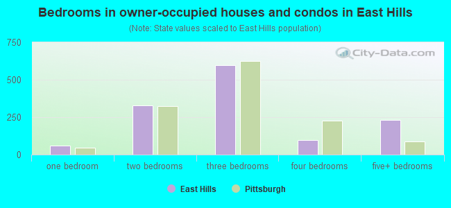 Bedrooms in owner-occupied houses and condos in East Hills