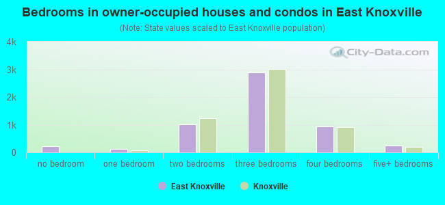 Bedrooms in owner-occupied houses and condos in East Knoxville