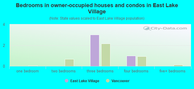 Bedrooms in owner-occupied houses and condos in East Lake Village