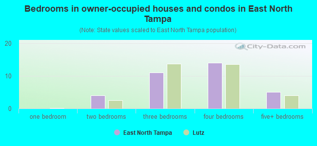 Bedrooms in owner-occupied houses and condos in East North Tampa