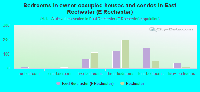 Bedrooms in owner-occupied houses and condos in East Rochester (E Rochester)