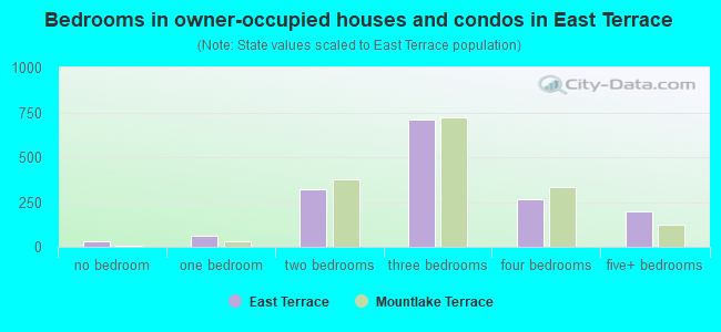 Bedrooms in owner-occupied houses and condos in East Terrace