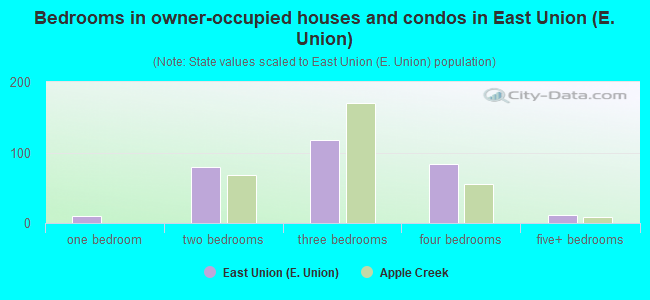 Bedrooms in owner-occupied houses and condos in East Union (E. Union)
