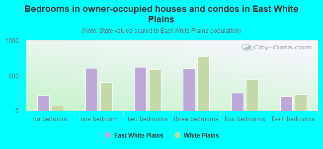 Bedrooms in owner-occupied houses and condos in East White Plains