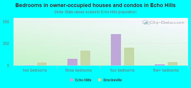 Bedrooms in owner-occupied houses and condos in Echo Hills