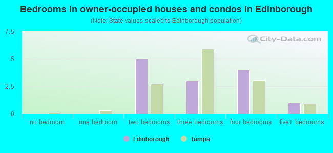 Bedrooms in owner-occupied houses and condos in Edinborough