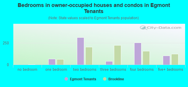 Bedrooms in owner-occupied houses and condos in Egmont Tenants