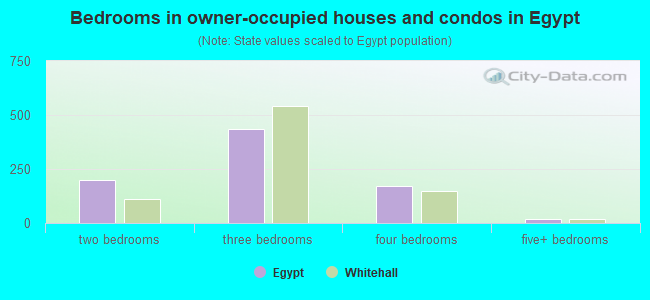 Bedrooms in owner-occupied houses and condos in Egypt