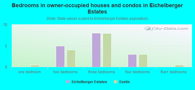 Bedrooms in owner-occupied houses and condos in Eichelberger Estates