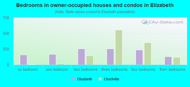 Bedrooms in owner-occupied houses and condos in Elizabeth