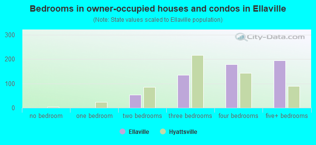 Bedrooms in owner-occupied houses and condos in Ellaville
