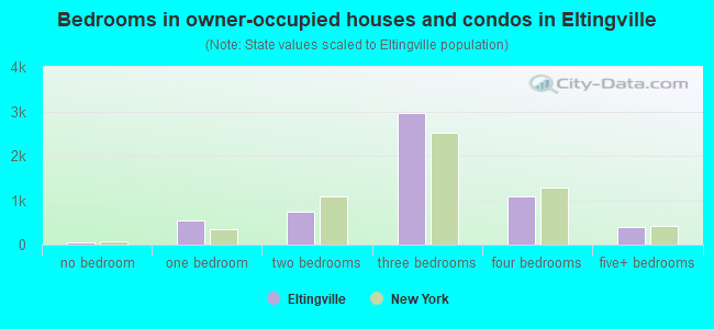 Bedrooms in owner-occupied houses and condos in Eltingville