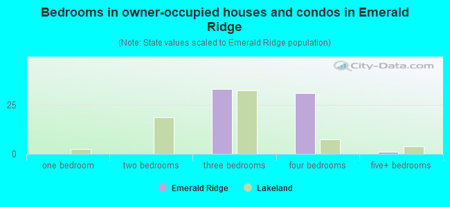 Bedrooms in owner-occupied houses and condos in Emerald Ridge