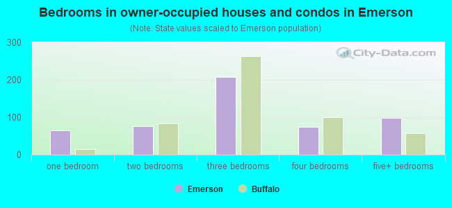 Bedrooms in owner-occupied houses and condos in Emerson