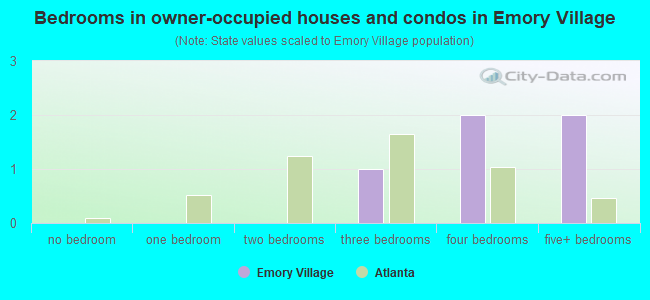 Bedrooms in owner-occupied houses and condos in Emory Village