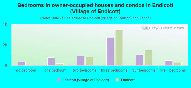 Bedrooms in owner-occupied houses and condos in Endicott (Village of Endicott)