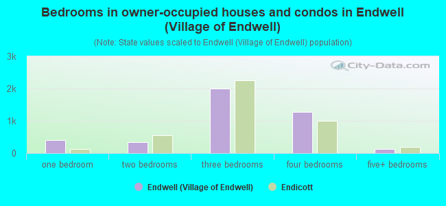 Bedrooms in owner-occupied houses and condos in Endwell (Village of Endwell)