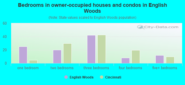 Bedrooms in owner-occupied houses and condos in English Woods