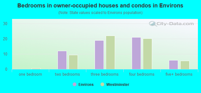 Bedrooms in owner-occupied houses and condos in Environs