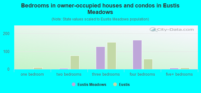 Bedrooms in owner-occupied houses and condos in Eustis Meadows