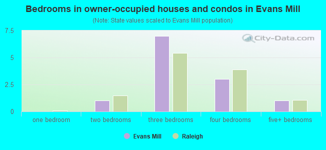 Bedrooms in owner-occupied houses and condos in Evans Mill