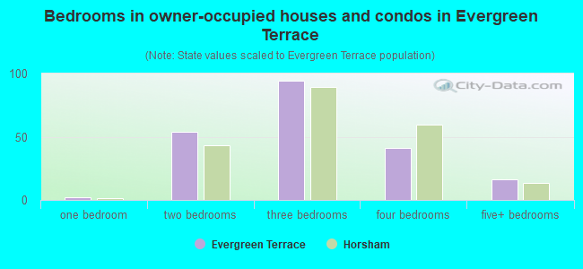 Bedrooms in owner-occupied houses and condos in Evergreen Terrace