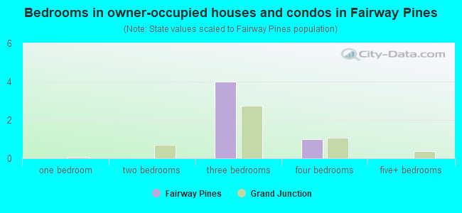 Bedrooms in owner-occupied houses and condos in Fairway Pines