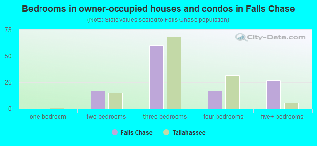 Bedrooms in owner-occupied houses and condos in Falls Chase