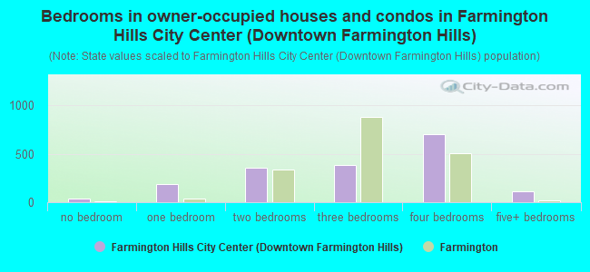 Bedrooms in owner-occupied houses and condos in Farmington Hills City Center (Downtown Farmington Hills)