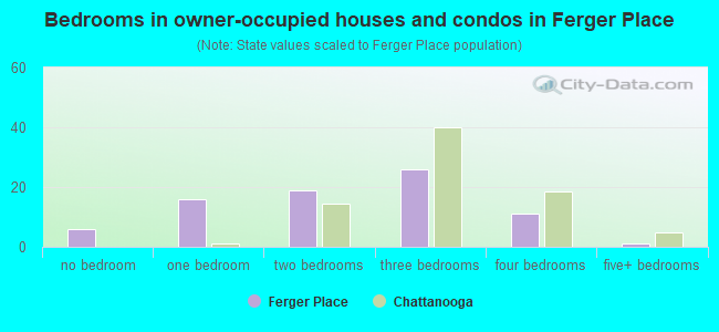 Bedrooms in owner-occupied houses and condos in Ferger Place
