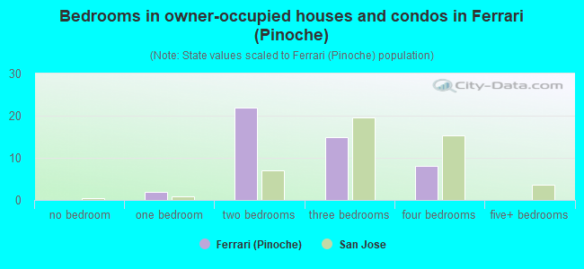 Bedrooms in owner-occupied houses and condos in Ferrari (Pinoche)
