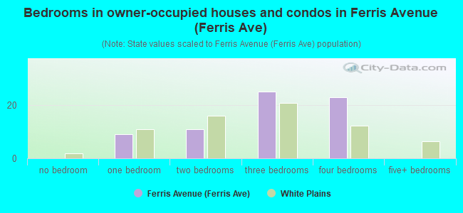 Bedrooms in owner-occupied houses and condos in Ferris Avenue (Ferris Ave)
