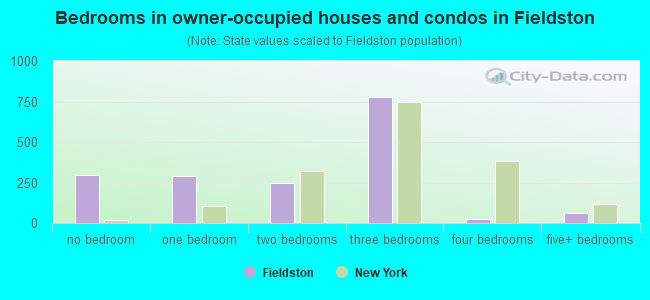 Bedrooms in owner-occupied houses and condos in Fieldston