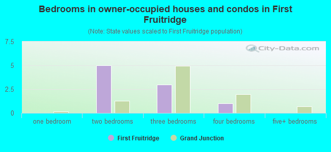 Bedrooms in owner-occupied houses and condos in First Fruitridge