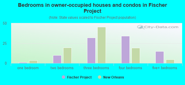 Bedrooms in owner-occupied houses and condos in Fischer Project