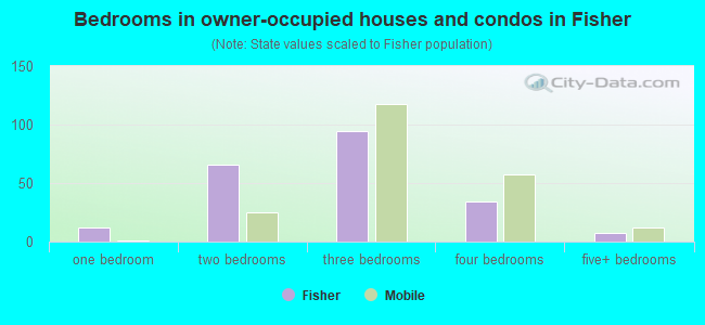 Bedrooms in owner-occupied houses and condos in Fisher
