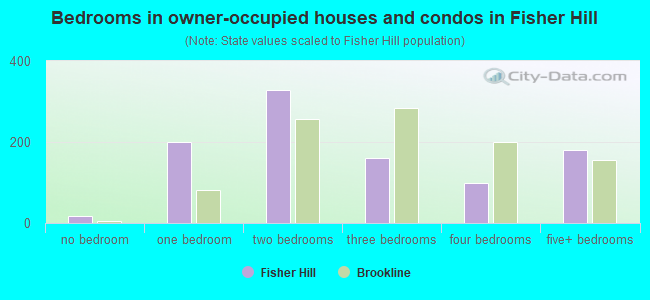 Bedrooms in owner-occupied houses and condos in Fisher Hill